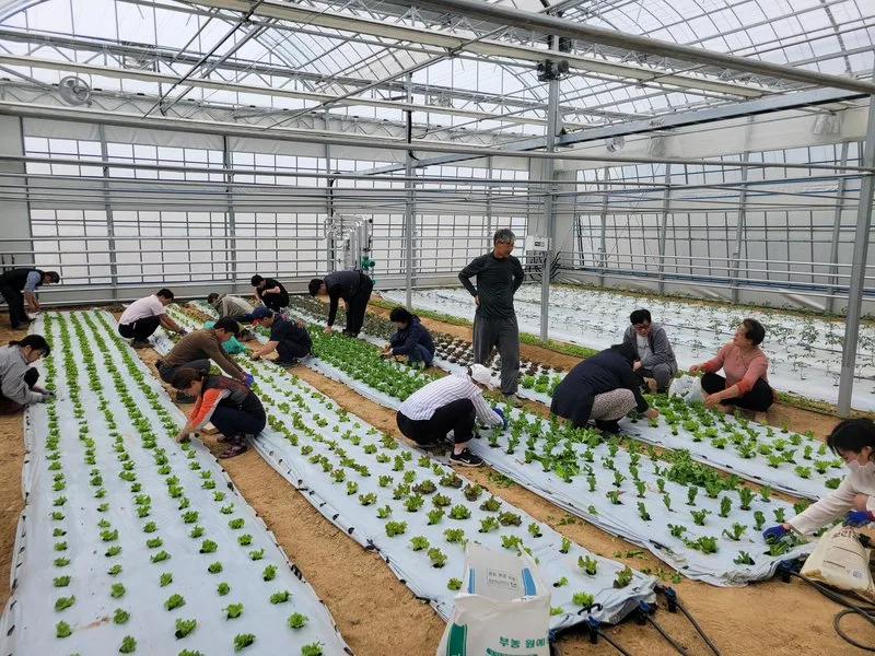 담양군, 청년농·귀농인 대상 ‘2026 신규농업인 기초영농교육’ 모집