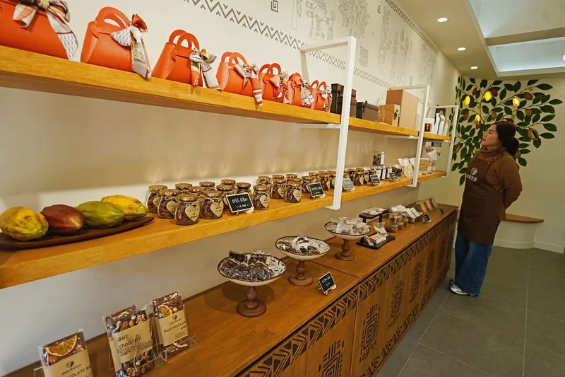 해남군 ‘인기만점 초콜릿 매장’ 나도 창업해 볼까? 지원자 모집NEW - 경제 뉴스 | 코리아NEWS