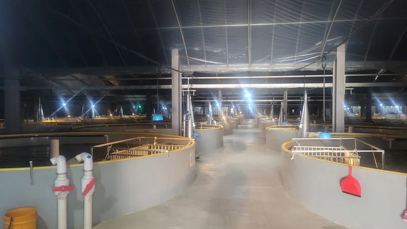 친환경양식어업 육성에 전남 2곳 선정…국비 18억 확보 - 환경 뉴스 | 코리아NEWS