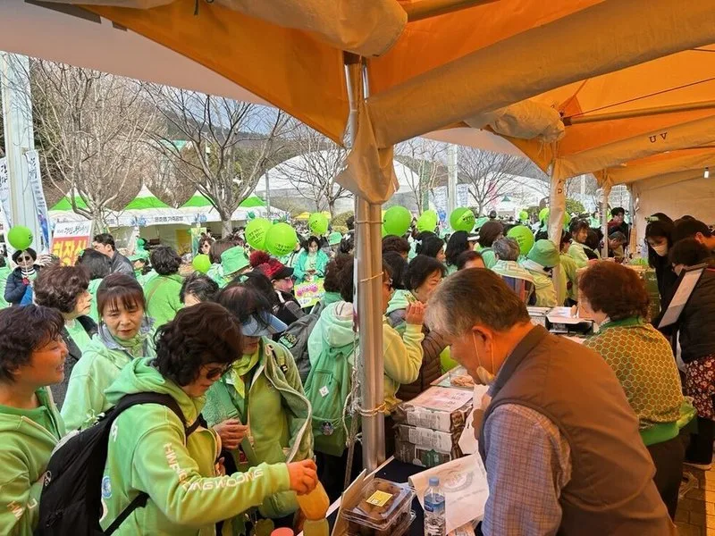 반값여행과 딱 맞물린 제54회 강진청자축제 ‘흥행가도’ - 문화 뉴스 | 코리아NEWS