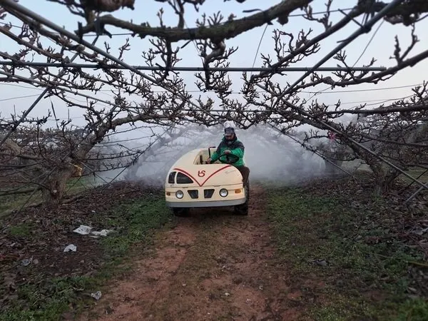 신안군, 배 재배농가 과수화상병 사전 약제방제 당부... - 행정 뉴스 | 코리아NEWS