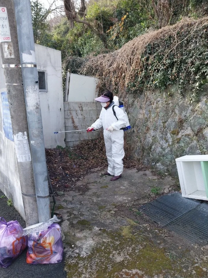 저전동, 해빙기 일제방역.대청소로 상쾌한 봄맞이 - 환경 뉴스 | 코리아NEWS