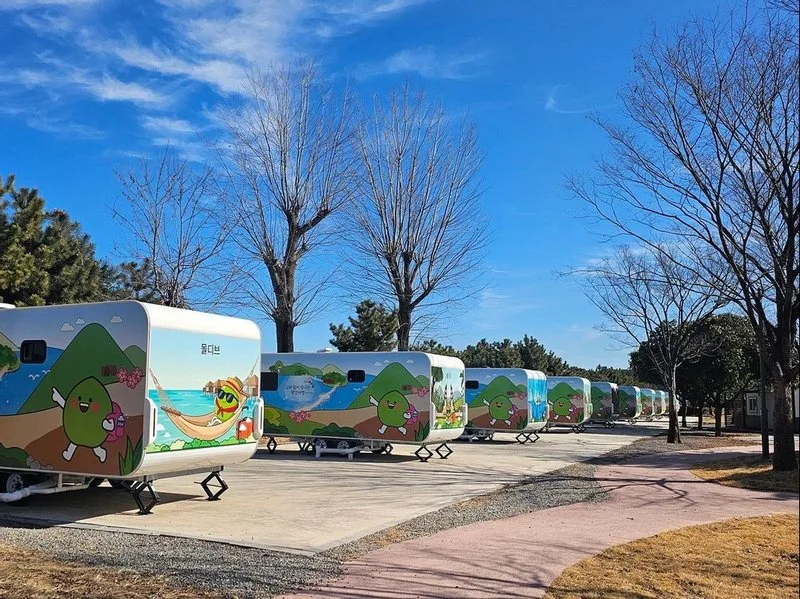 광양시, ‘배알도별빛야영장’ 14일 개장 - 문화 뉴스 | 코리아NEWS