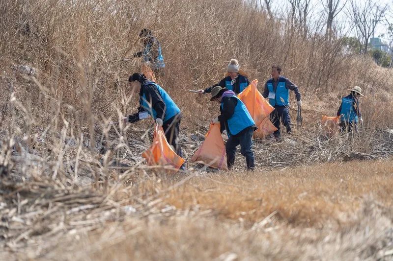 광양시, 기후위기 대응 ‘블루카본’ 숲 조성 본격 추진 - 환경 뉴스 | 코리아NEWS