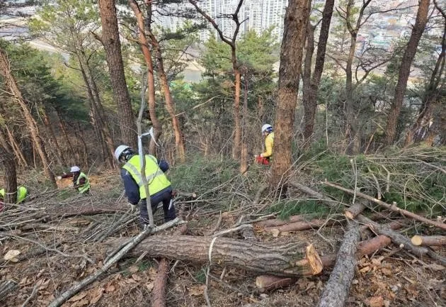 광양시, 서산 어울길 조성사업(3차) 추진 - 행정 뉴스 | 코리아NEWS