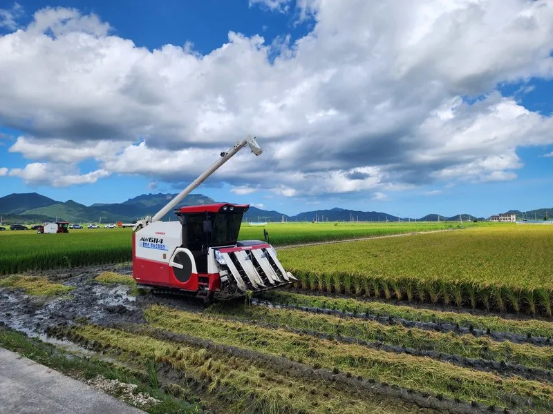 전남도, 벼 경영안정대책비 미지급분 114억 지급 - 경제 뉴스 | 코리아NEWS