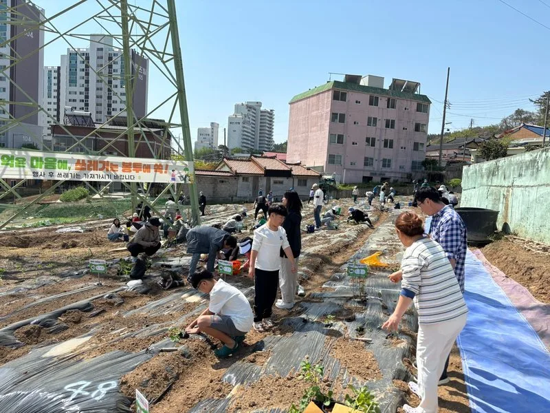 삼향동, 2026 전원마을 삼향동 주말농장 참가자 모집
새로운글 - 행정 뉴스 | 코리아NEWS