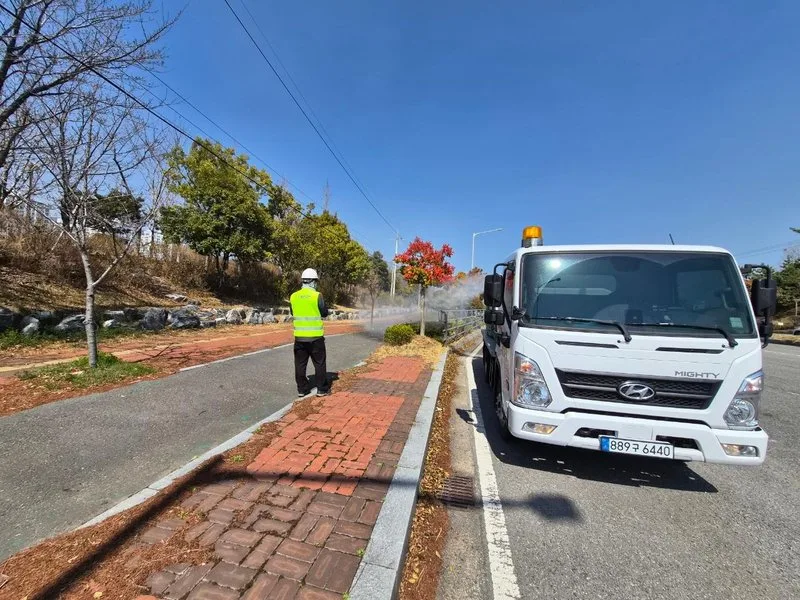 광양시, 가로수 병해충 선제 대응으로 건강한 녹색도시 조성 - 행정 뉴스 | 코리아NEWS