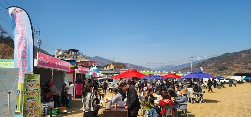 제25회 광양매화축제, 축제장은 북적... 야시장은 한산 - 문화 뉴스 | 코리아NEWS