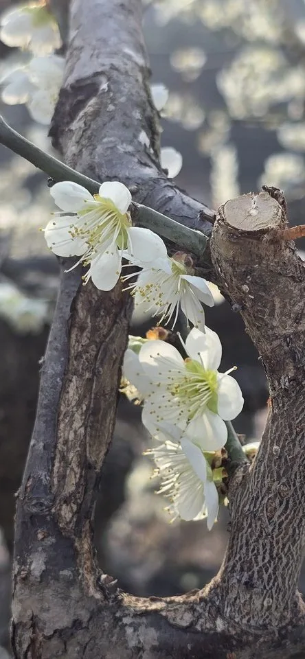 타인의 시선이라는 감옥에서 - 행정 뉴스 | 코리아NEWS