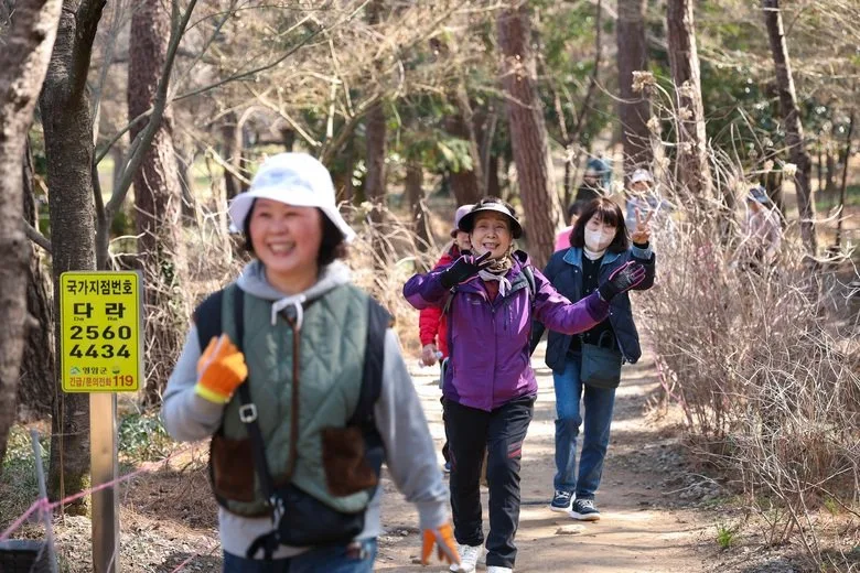 영암군, 걷기 문화 확산 나선다 동호회 중심 건강 실천 확대 - 문화 뉴스 | 코리아NEWS