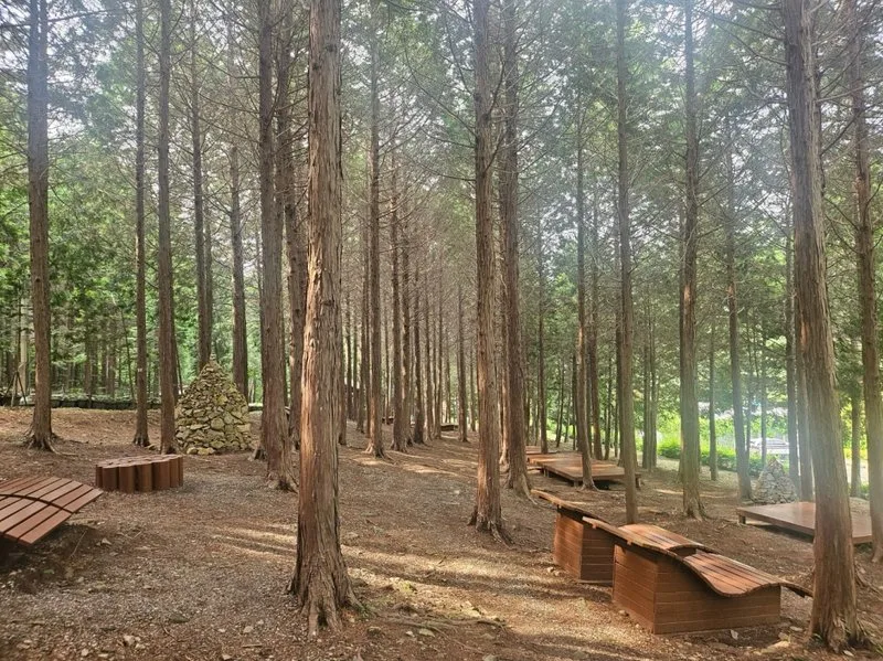 ‘지붕 없는 미술관’ 고흥으로 떠나는 봄맞이 3색 트레... - 문화 뉴스 | 코리아NEWS