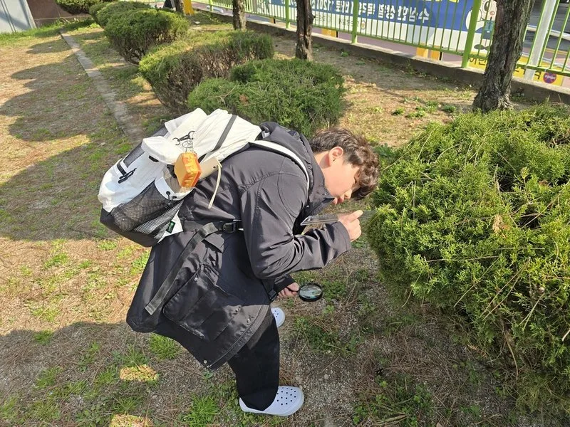 화순초등학교, 자연 속에서 창의력을 키우는 교내 자연관찰탐구대회 개최 - 교육 뉴스 | 코리아NEWS