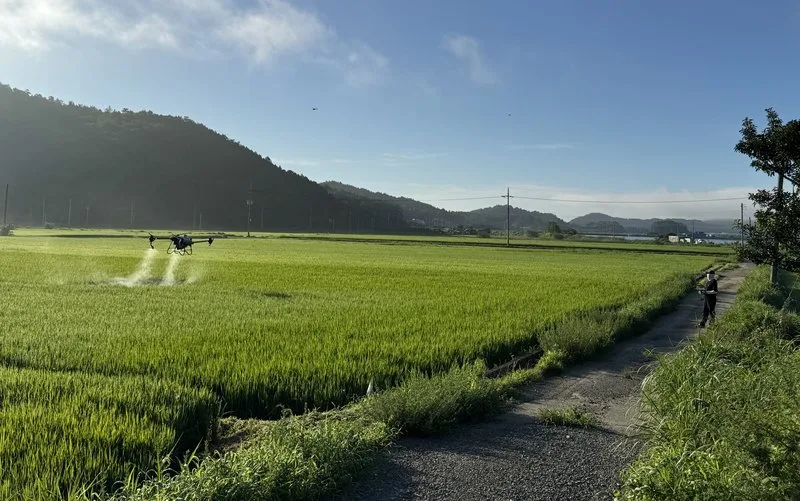 친환경농업직불금 6월 30일까지 신청하세요 - 경제 뉴스 | 코리아NEWS