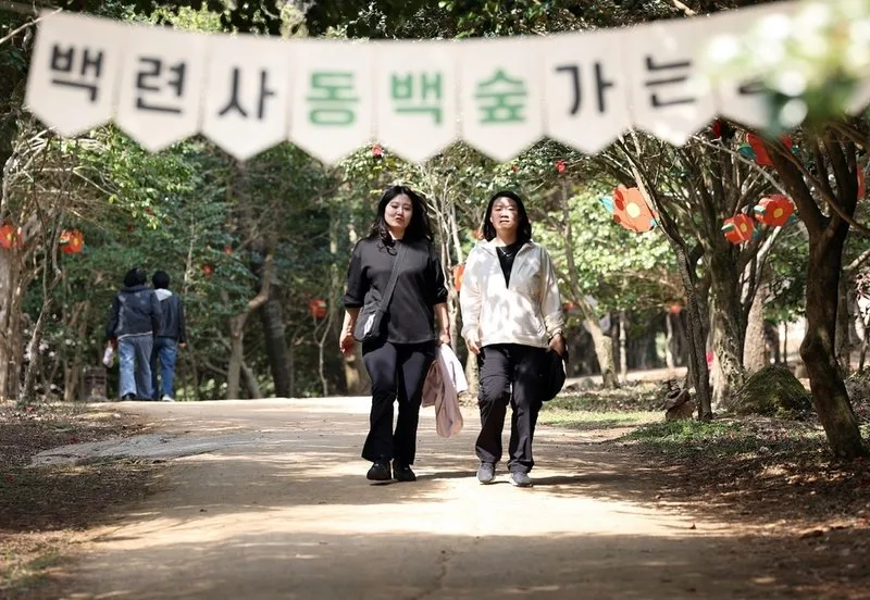봄의 향연 제3회 강진 백련사 동백축제 성황리 마무리 - 문화 뉴스 | 코리아NEWS