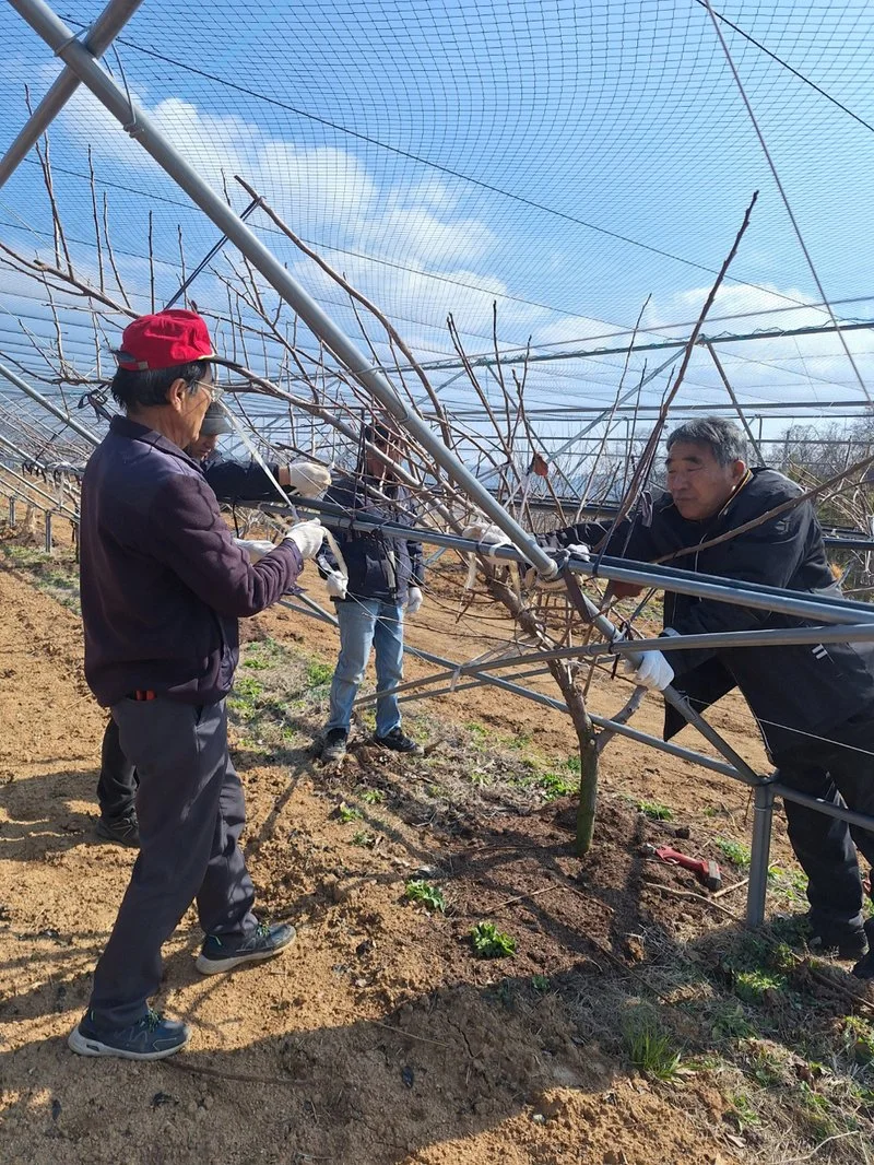 함평군, 세대 공감 농업인상담소 가동…맞춤형 영농지원 본격화 - 복지 뉴스 | 코리아NEWS