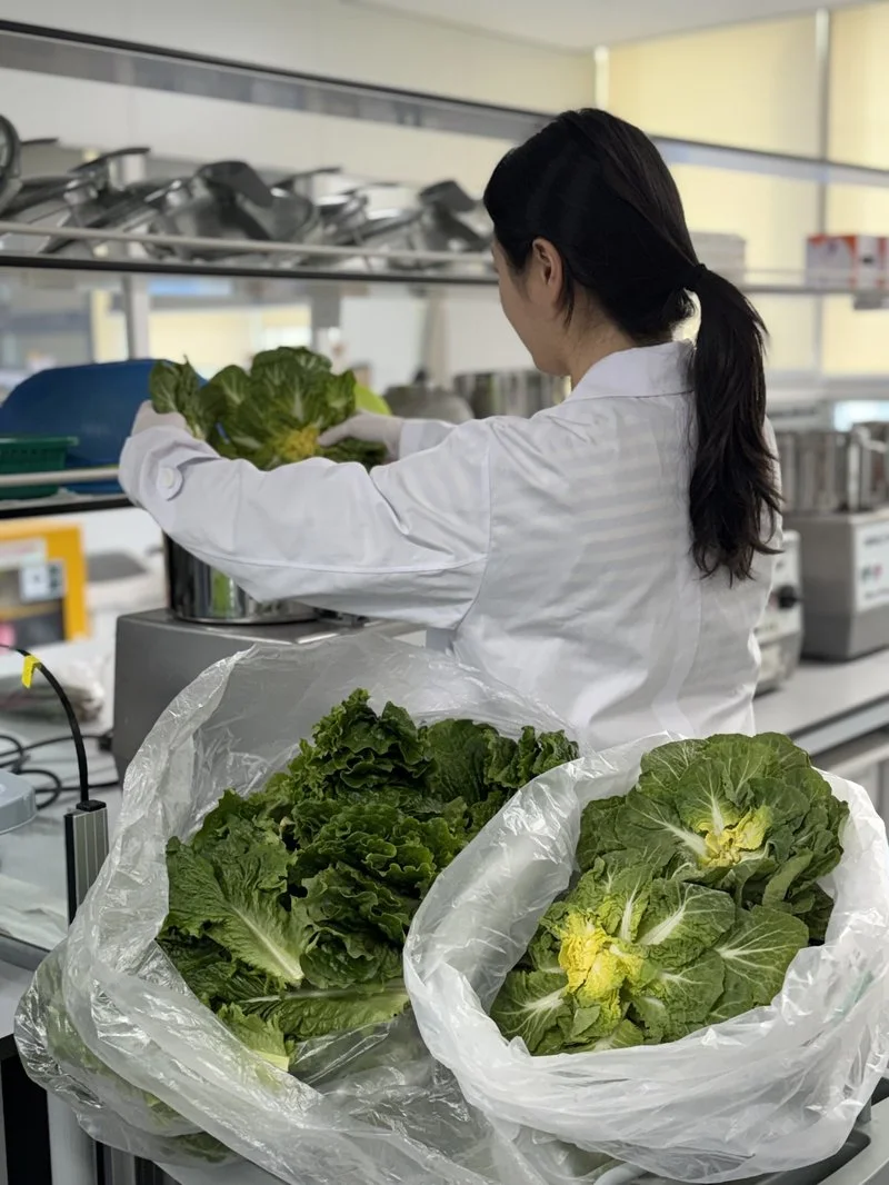 전남지역 유통 봄철 다소비 농산물 모두 ‘안전’ - 안전 뉴스 | 코리아NEWS