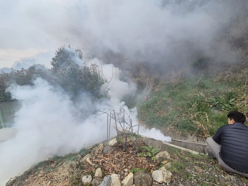 담양군, 봄철 맞아 해충 조기 박멸… 주민 주도 ‘총력 방역’ - 환경 | 코리아NEWS