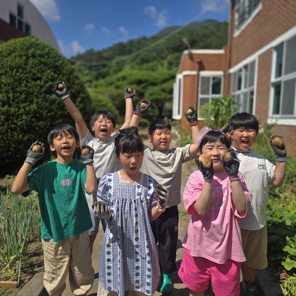 죽곡초, 감자 수확과 고구마 심기로 생태 감수성 키워