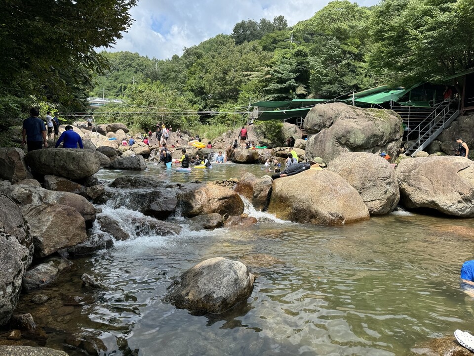 여름방학, 백운산에서 가족과 함께하는 특별한 힐링캠프