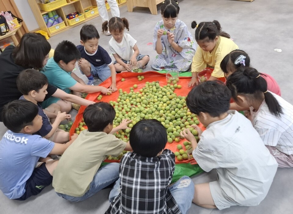순천성남초·유치원, 전통 매실청 만들며 '이음' 배움