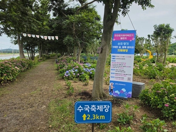 신안 수국 꽃길 걷고 쿠폰 받자! ‘한마음치매극복 챌린지’