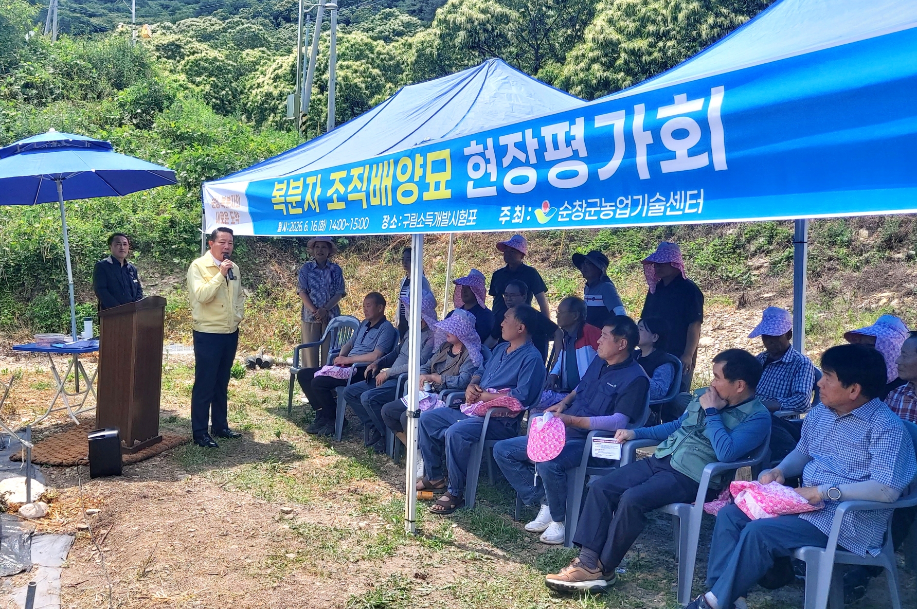 순창군, 복분자 고사율 73% 낮춘 조직배양묘 우수성 입증
