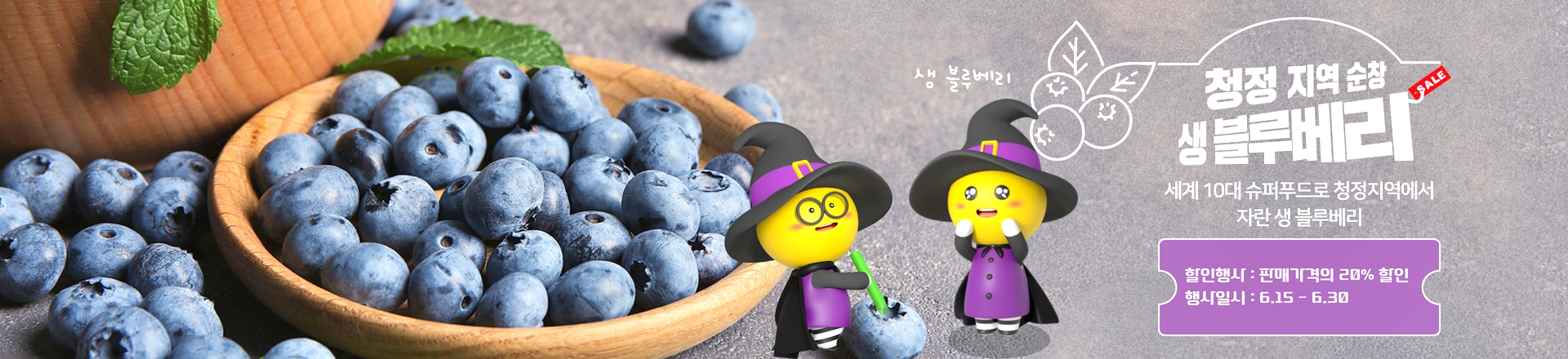 순창군, 제철 블루베리 20% 특별 할인…‘행복순창몰’서 판매