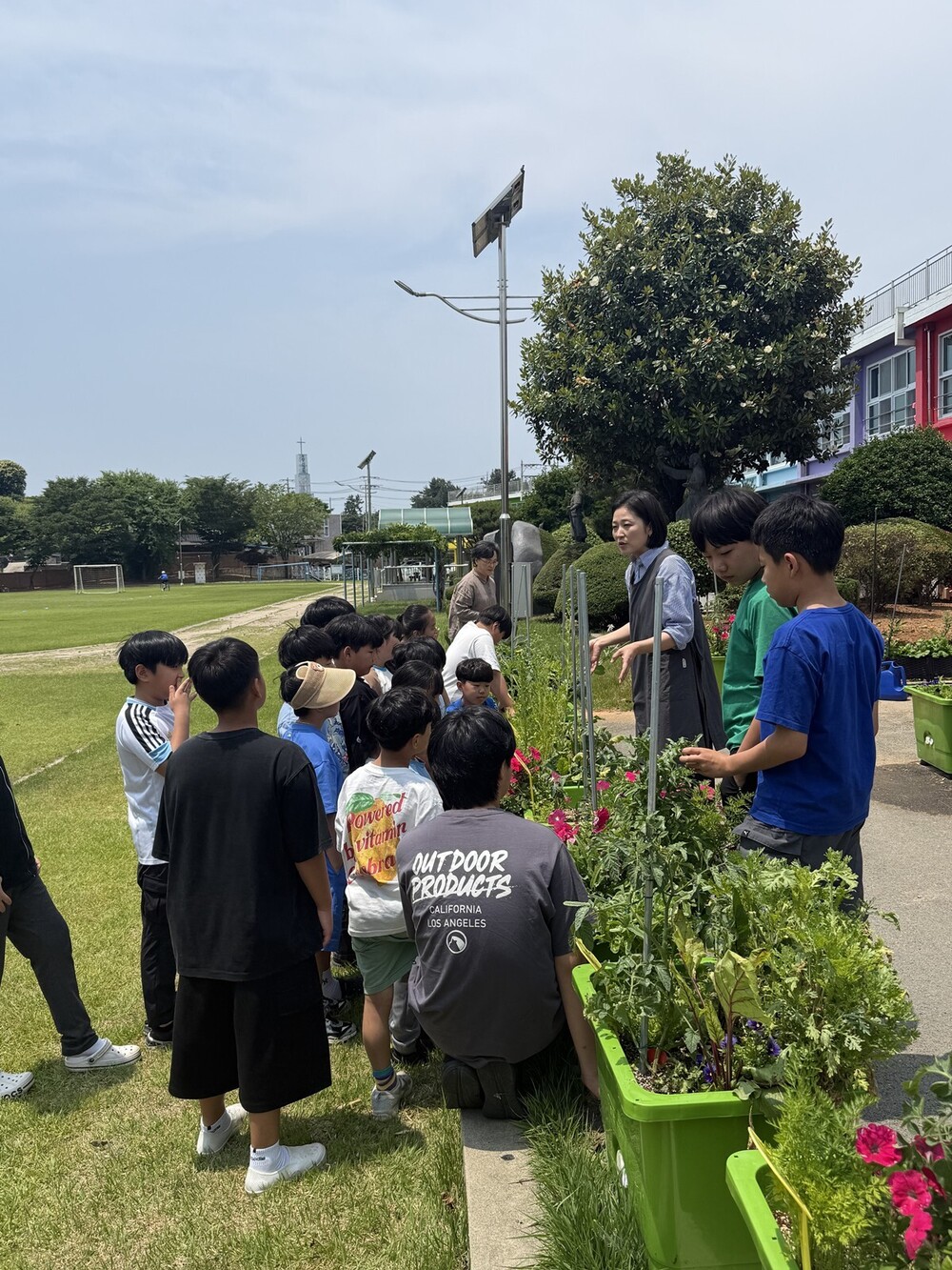 나주시, 학교 치유텃밭교실 운영…학생들 마음에 생명과 성장 심는다