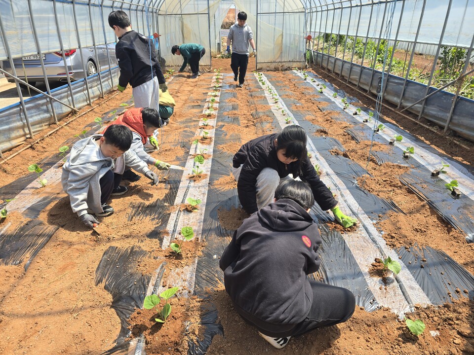 산이서초, 텃밭에서 수확한 따뜻한 마음…장애인복지관에 작물 500개 기부