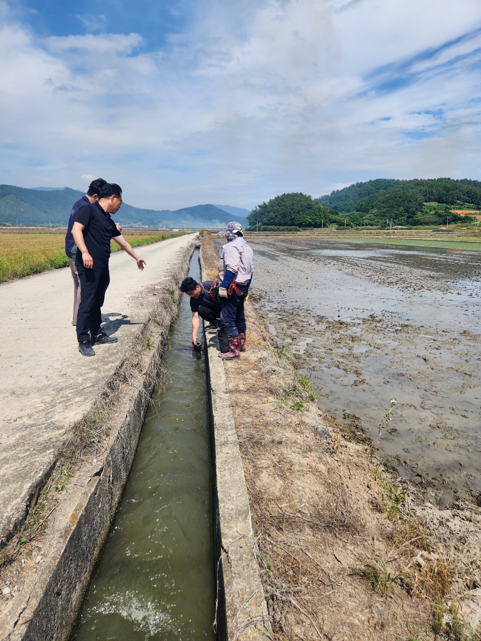 해남군, 왕우렁이 피해 예방에 총력…구제약제 및 예비모판 지원