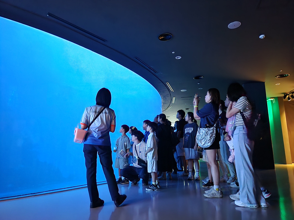 여수 밤의 힐링…아쿠아리움 야행과 오동도 조명길 산책