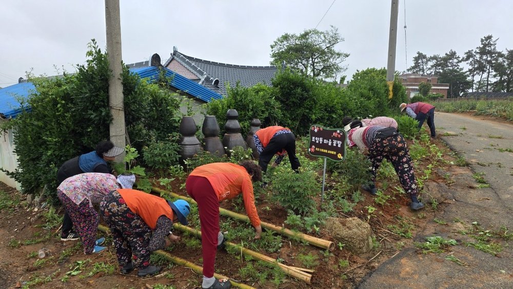 무안군 조암동마을, ‘으뜸마을’ 가꾸기로 활력 불어넣어