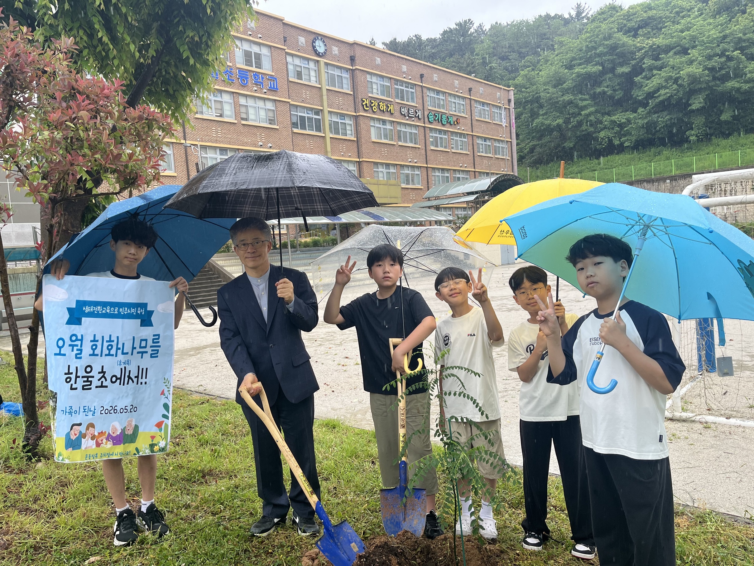 광주 한울초, 오월의 회화나무 후계목 식재…역사를 품다