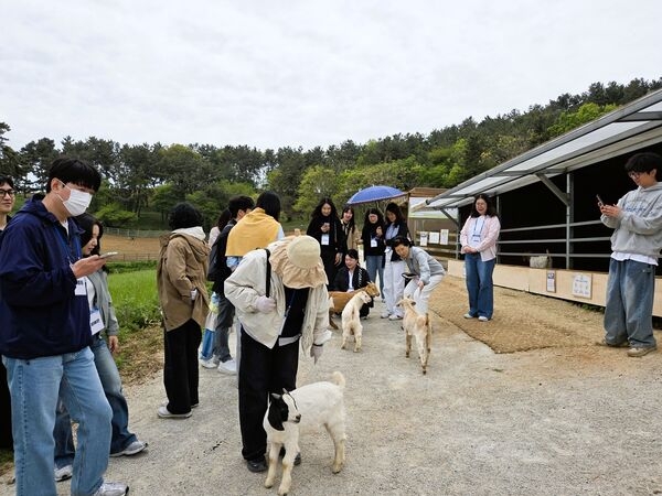 직무 스트레스 해소…장성군, 민원공무원 대상 ‘힐링교육’