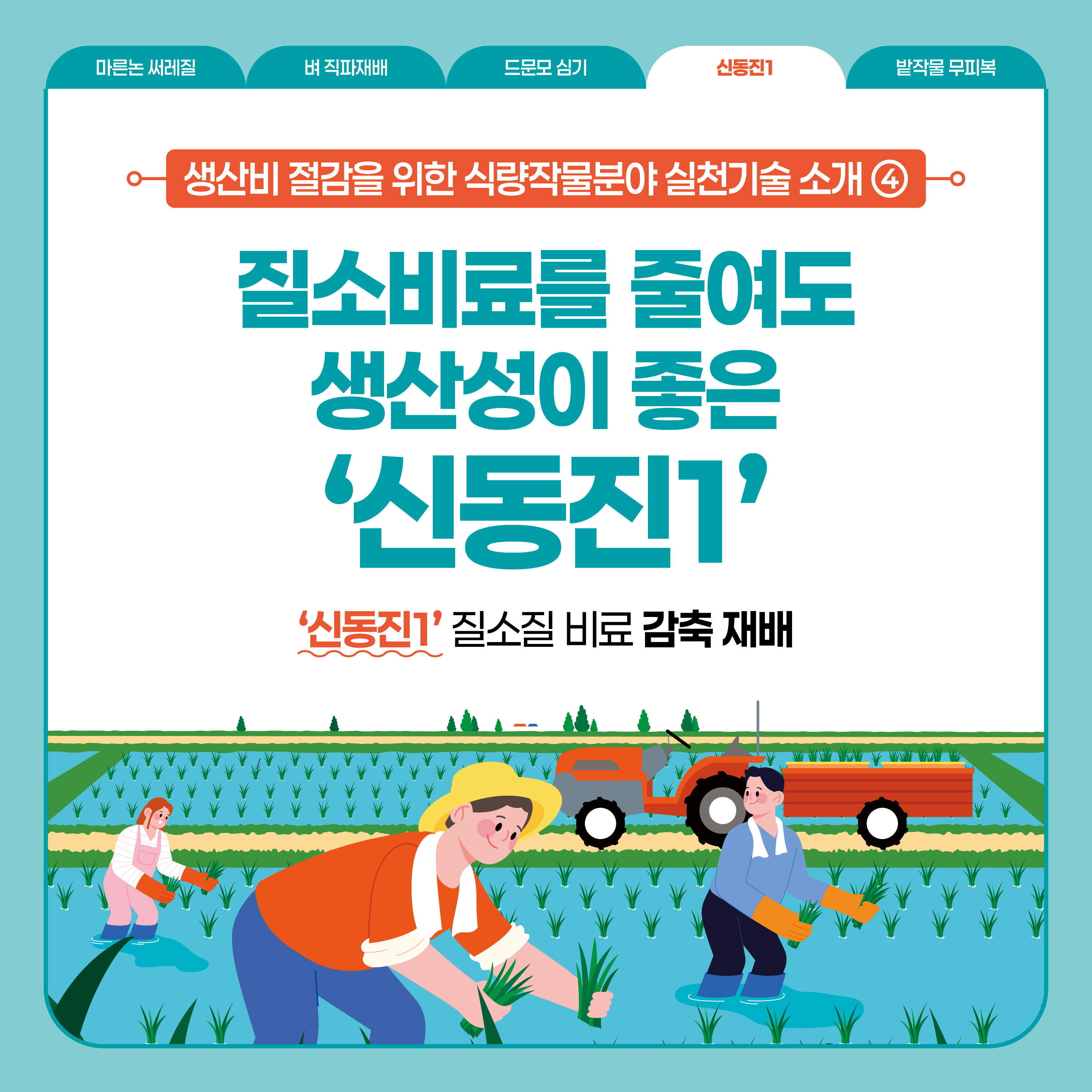 질소비료 줄여도 수확 좋은 '신동진1' 대표 쌀 품종으로