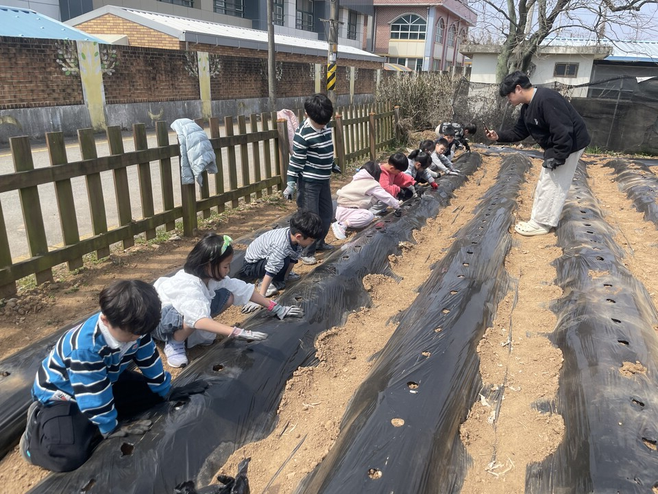 노안남초, 고사리 손으로 초록빛 꿈을 심다…‘학교 텃밭 가꾸기’ 본격 시동