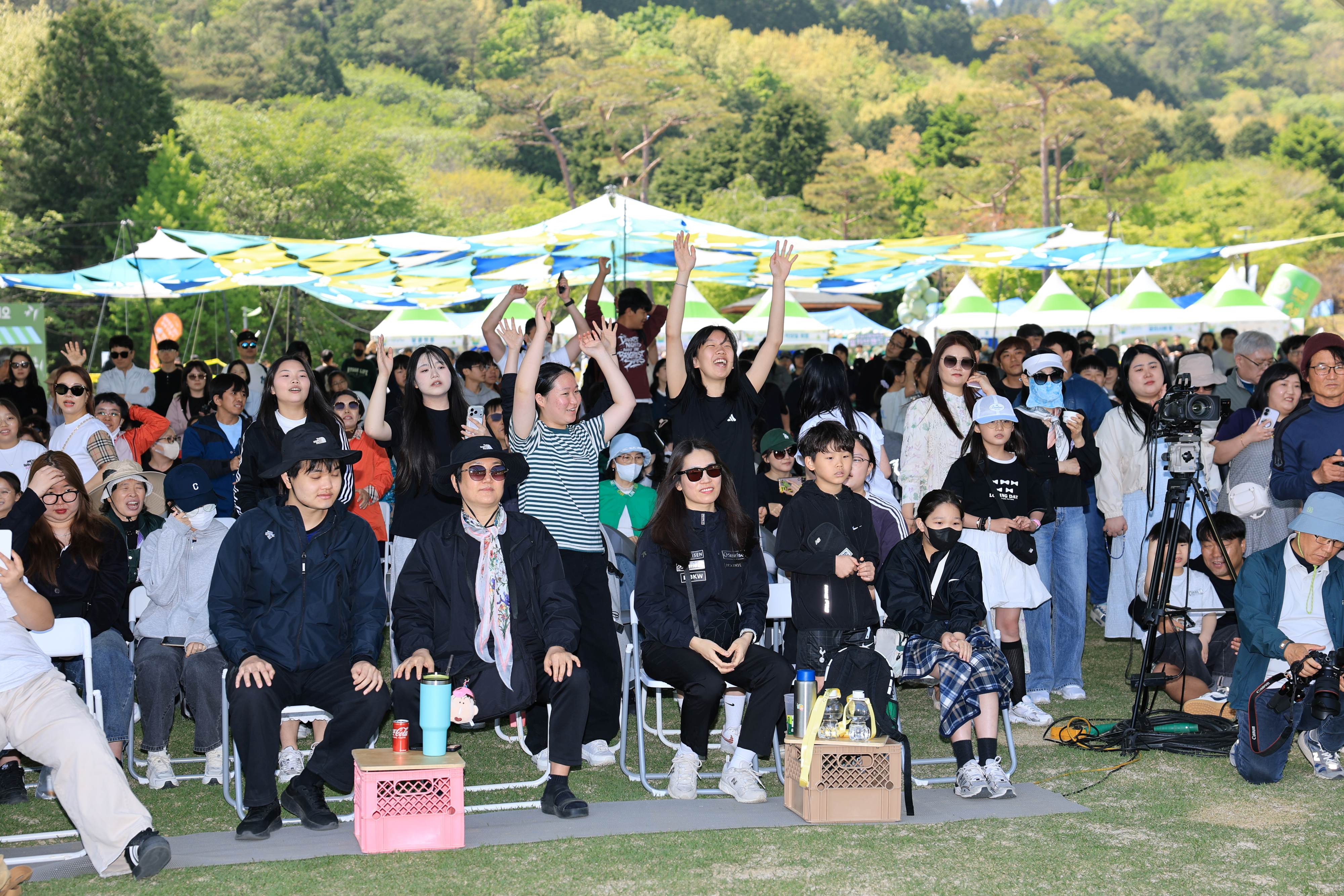 대세 ‘말차’와 함께하는 제49회 보성다향대축제, 5월 황금연휴 막 올렸다