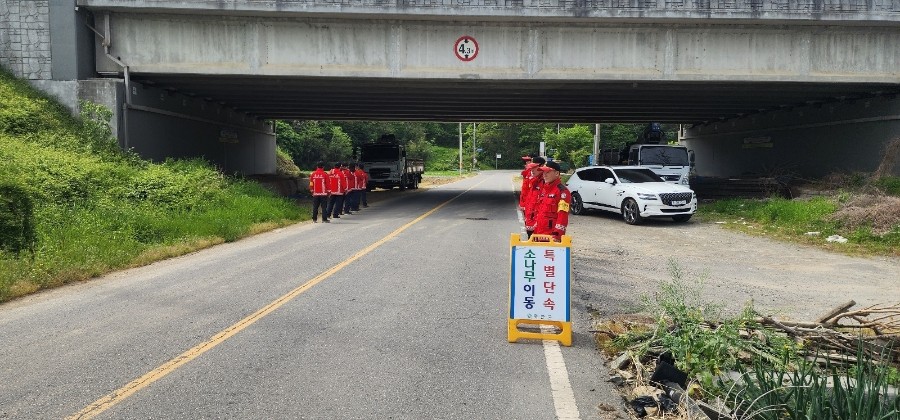 화순군, 소나무재선충병 확산 차단…무단이동 특별단속 실시