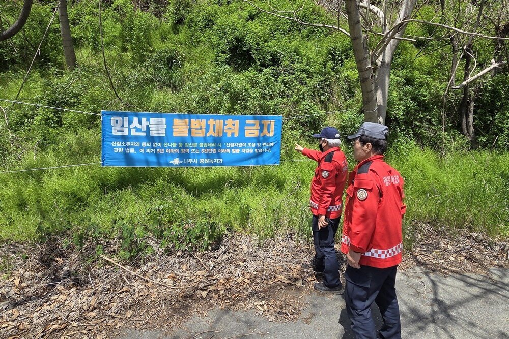 어린이날 연휴 산불 비상…나주시, 드론·단속반 총동원