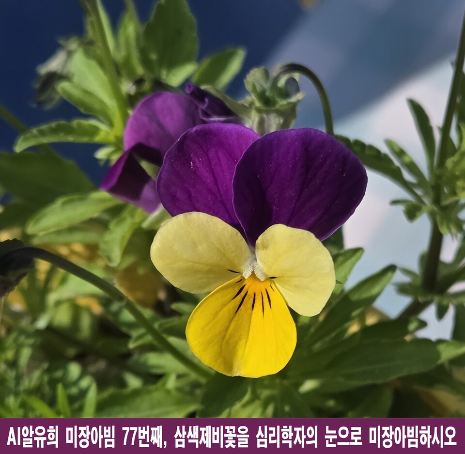 거울 속 꽃, 마음의 지도: 10인의 심리학자가 읽은 삼색제비꽃