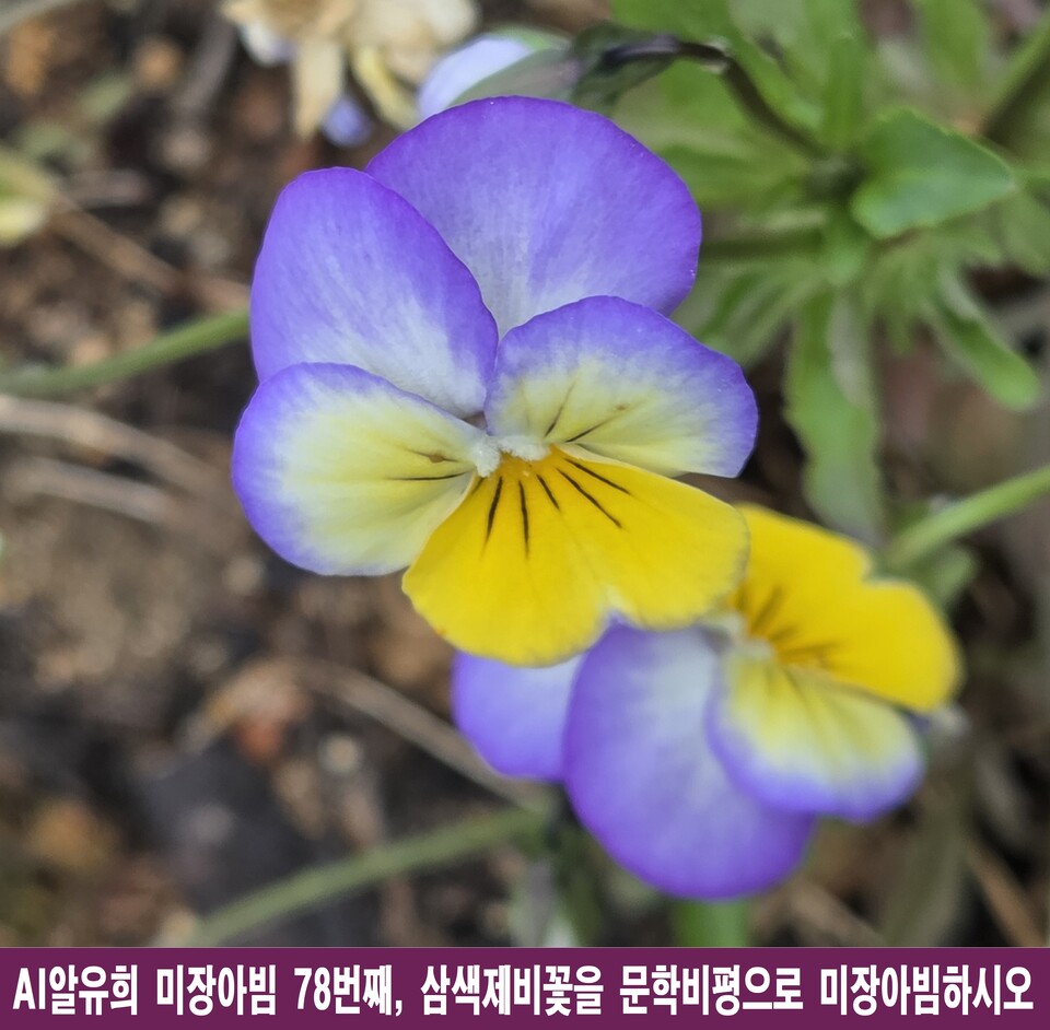 거울 속에 핀 삼색제비꽃, 10가지 문학비평으로 읽는 우주의 미장아빔