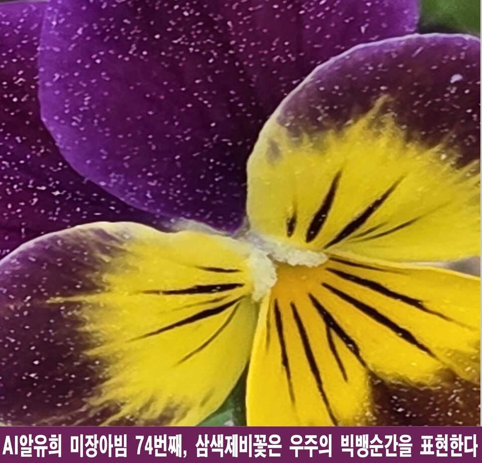 꽃잎 속에 빅뱅이 숨 쉬다, 삼색제비꽃의 우주적 미장아빔