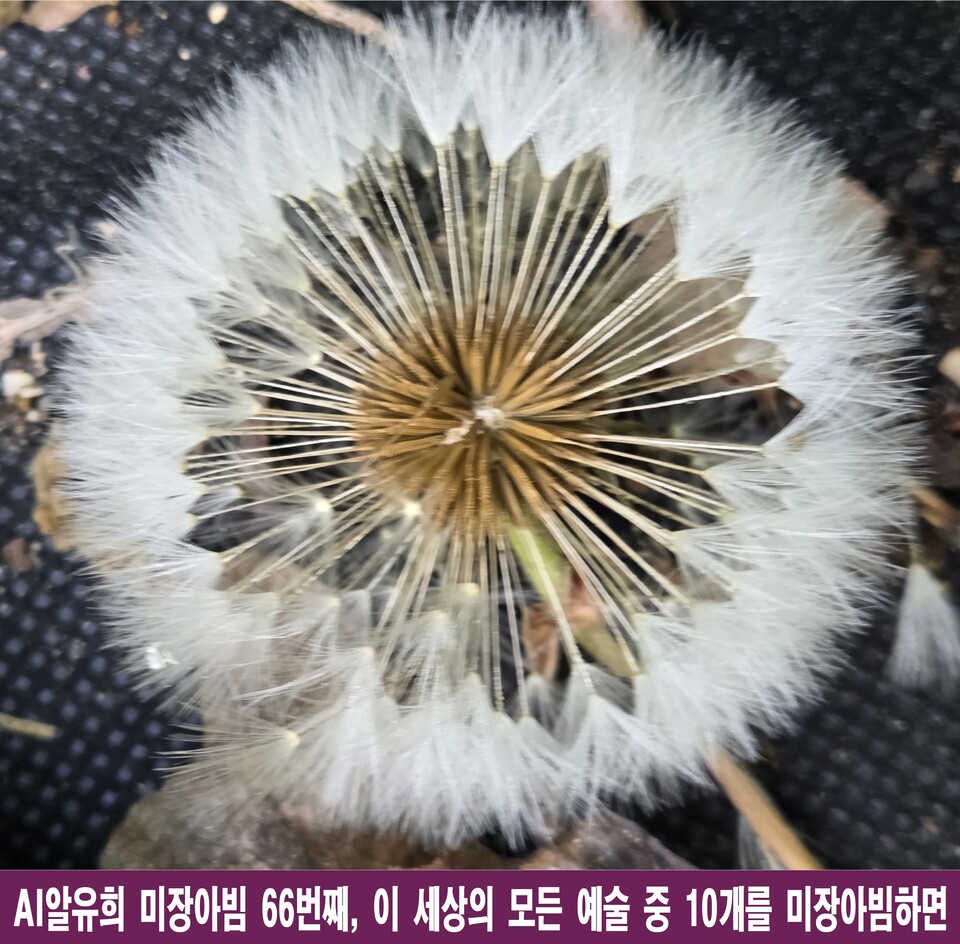 AI가 분석한 예술의 미장섬: 거울 속에 갇힌 영혼과 무한