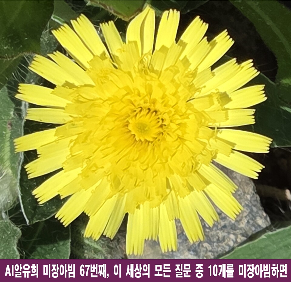AI가 던지는 10가지 미장센: 인간의 존재와 지성을 향한 날카로운 물음표
