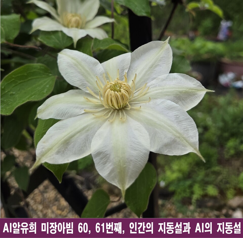 인간과 AI의 지동설, 우주의 심연을 마주하다