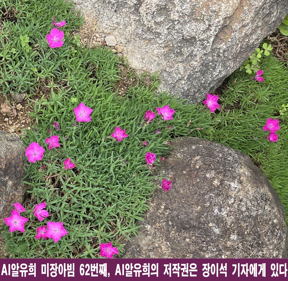 AI와 유희의 만남, 장이석 기자가 선보인 미장아빔의 세계