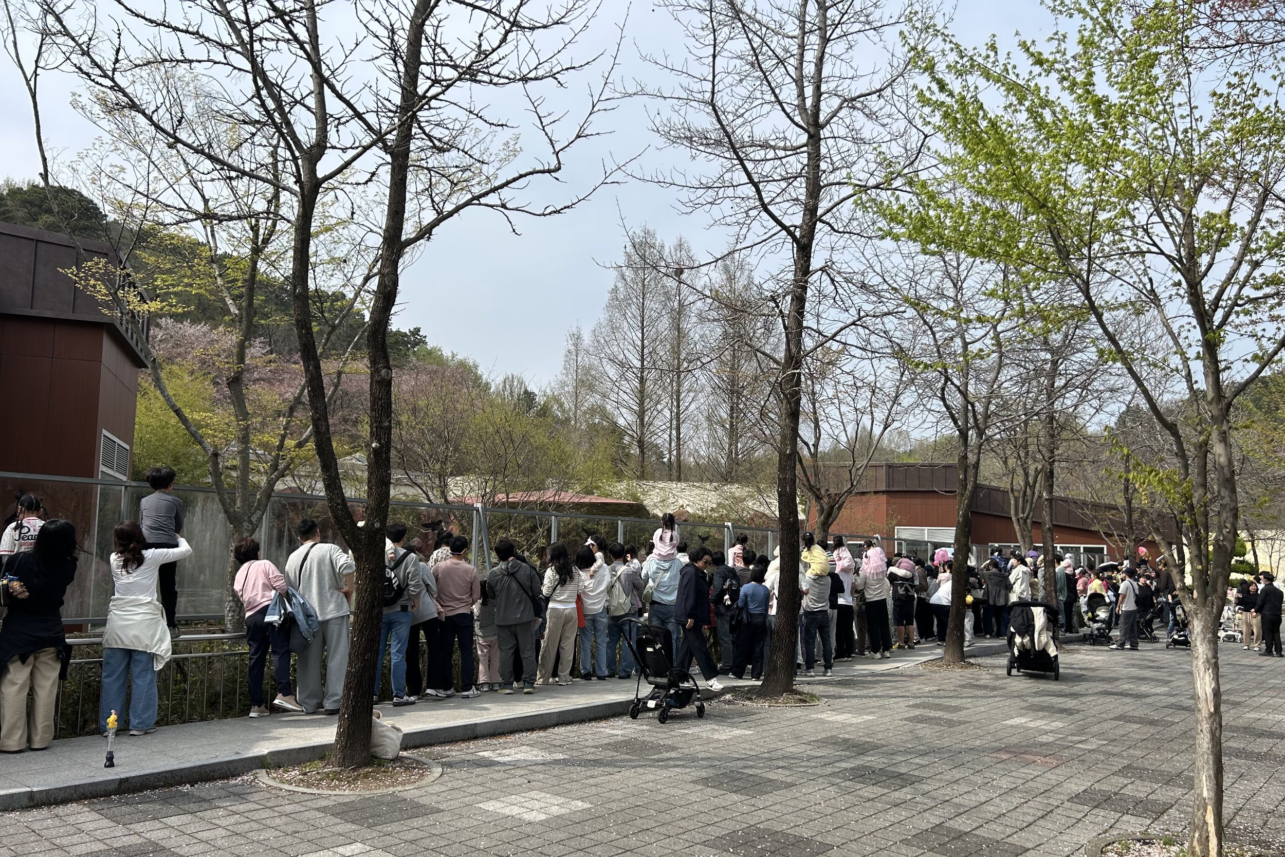 상처 입은 동물의 ‘치유 드라마’…광주 우치동물원, 방문객 작년보다 2배 급증