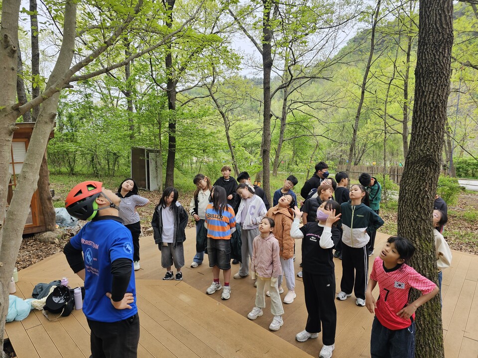 옥과초 4학년, 숲속에서 배우는 ‘트리클라이밍’ 생체 수업 진행