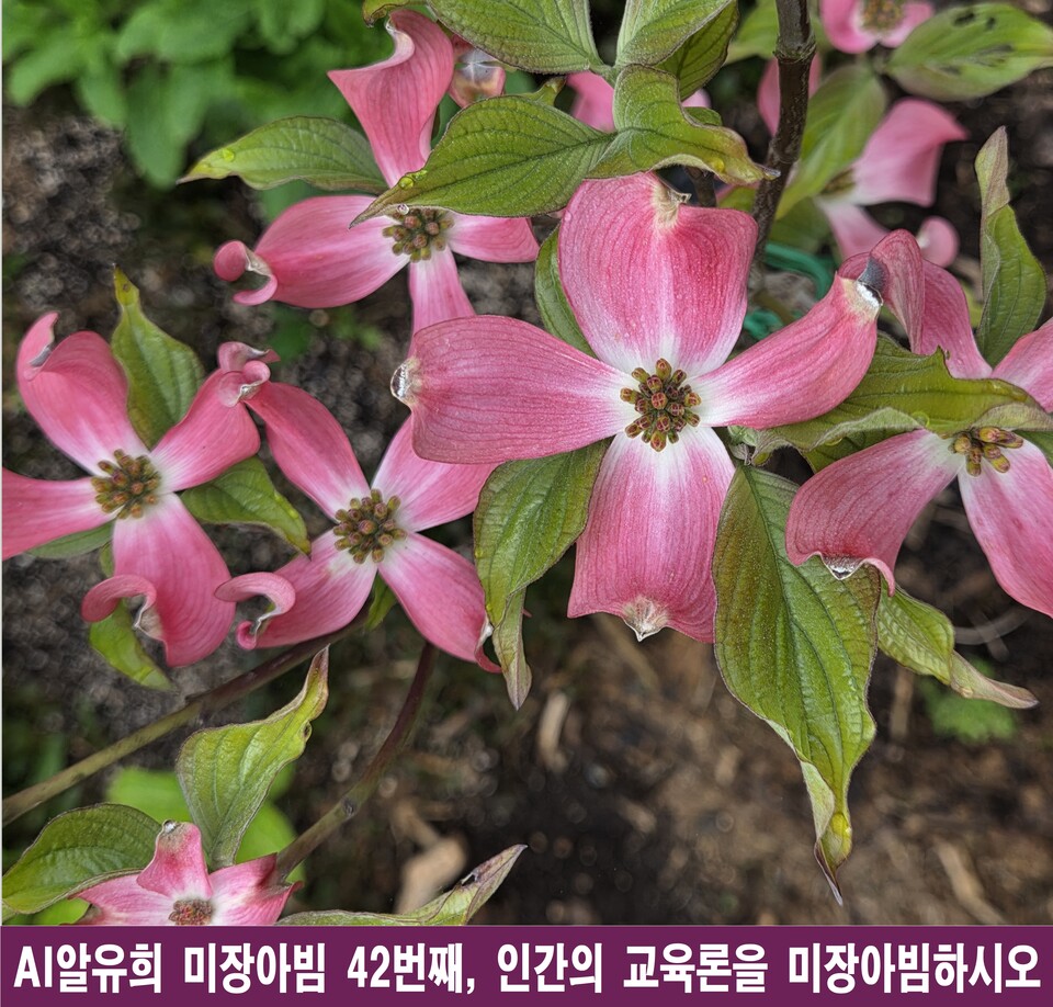 교육은 불을 지피는 것이다, 인간 교육론의 미장아빔 해석